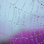 【2025年最新版】初心者でも迷わない!Anaconda(アナコンダ)でSpyder(スパイダー)を超わかりやすくインストールする完全手順書